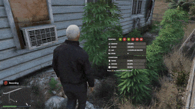[Escrow] GFX Advanced Weed Script